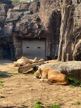 天王寺動物園に投稿された画像（2023/1/1）