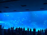 沖縄美ら海水族館に投稿された画像（2023/1/1）