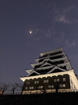 福山城400年博-FUKUYAMA CASTLE EXPO 2022- RCC開局70年 「チームラボ 福山城 光の祭」に投稿された画像（2023/1/1）