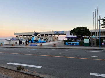 鴨川シーワールドに投稿された画像（2023/1/1）