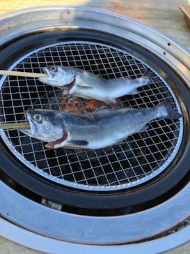 横浜・八景島シーパラダイスに投稿された画像（2023/1/1）