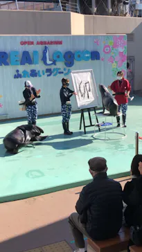 横浜・八景島シーパラダイスに投稿された画像（2023/1/1）