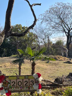 天王寺動物園に投稿された画像（2023/1/1）