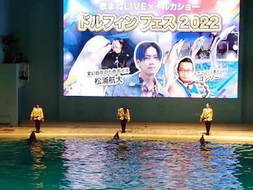 横浜・八景島シーパラダイスに投稿された画像（2023/1/1）