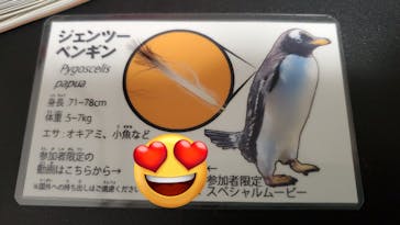 南知多ビーチランド＆南知多おもちゃ王国に投稿された画像（2023/1/1）