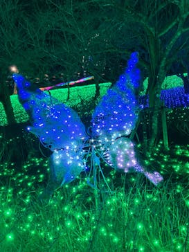 さがみ湖MORI MORIに投稿された画像（2023/1/1）