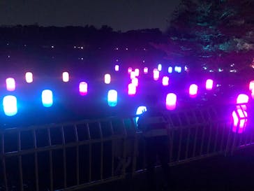 チームラボ ボタニカルガーデン 大阪に投稿された画像（2023/1/1）