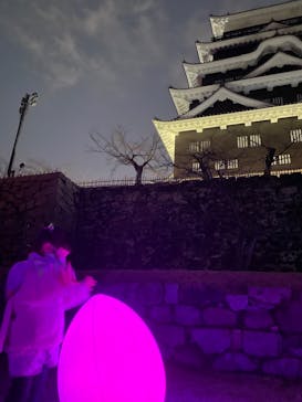福山城400年博-FUKUYAMA CASTLE EXPO 2022- RCC開局70年 「チームラボ 福山城 光の祭」に投稿された画像（2023/1/1）