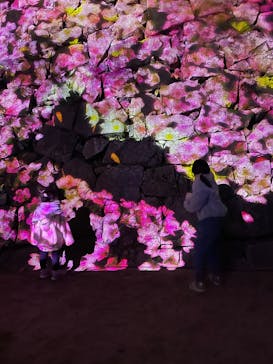 福山城400年博-FUKUYAMA CASTLE EXPO 2022- RCC開局70年 「チームラボ 福山城 光の祭」に投稿された画像（2023/1/1）