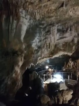 石垣島鍾乳洞に投稿された画像（2023/1/1）