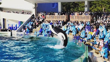 鴨川シーワールドに投稿された画像（2023/1/1）