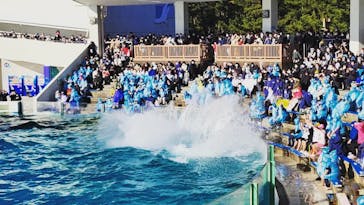 鴨川シーワールドに投稿された画像（2023/1/1）