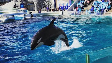 鴨川シーワールドに投稿された画像（2023/1/1）