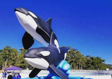 鴨川シーワールドに投稿された画像（2023/1/1）