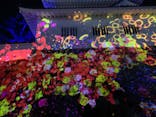 福山城400年博-FUKUYAMA CASTLE EXPO 2022- RCC開局70年 「チームラボ 福山城 光の祭」に投稿された画像（2023/1/2）