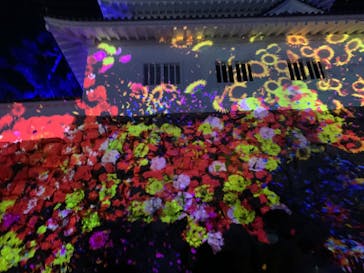 福山城400年博-FUKUYAMA CASTLE EXPO 2022- RCC開局70年 「チームラボ 福山城 光の祭」に投稿された画像（2023/1/2）