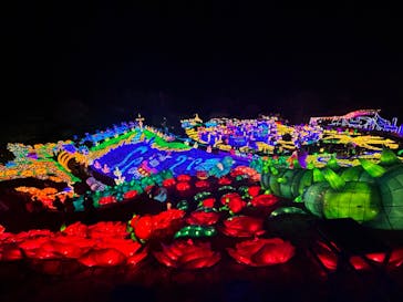 伊豆ぐらんぱる公園に投稿された画像（2023/1/2）