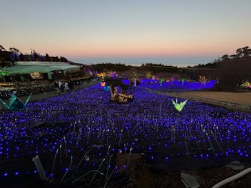 伊豆ぐらんぱる公園に投稿された画像（2023/1/2）