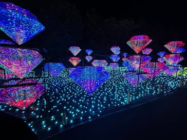 伊豆ぐらんぱる公園に投稿された画像（2023/1/2）