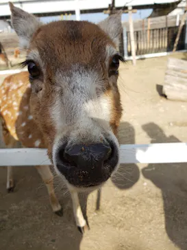 神戸どうぶつ王国に投稿された画像（2023/1/2）