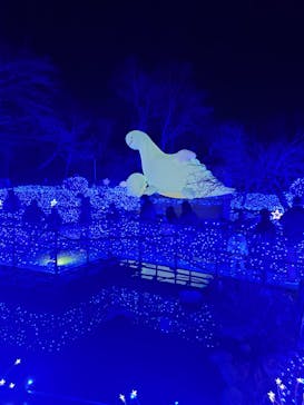 さがみ湖MORI MORIに投稿された画像（2023/1/2）