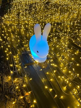 伊豆ぐらんぱる公園に投稿された画像（2023/1/2）