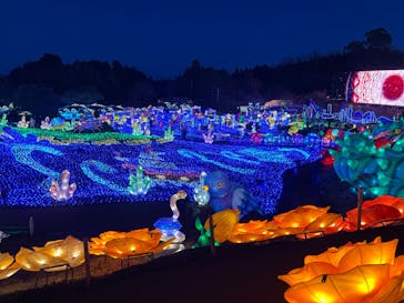 伊豆ぐらんぱる公園に投稿された画像（2023/1/2）