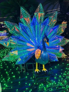 伊豆ぐらんぱる公園に投稿された画像（2023/1/2）