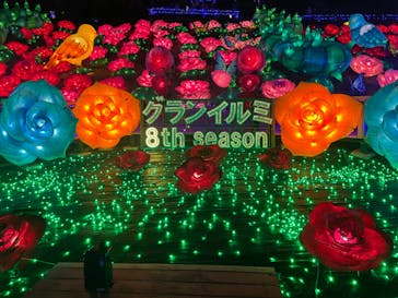 伊豆ぐらんぱる公園に投稿された画像（2023/1/2）