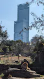 天王寺動物園に投稿された画像（2023/1/2）