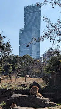 天王寺動物園に投稿された画像（2023/1/2）