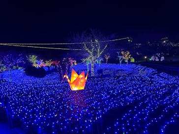 伊豆ぐらんぱる公園に投稿された画像（2023/1/2）