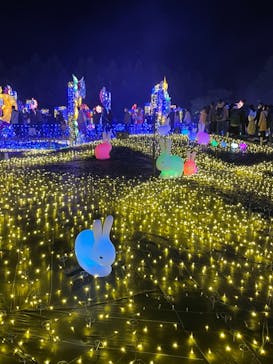 伊豆ぐらんぱる公園に投稿された画像（2023/1/2）