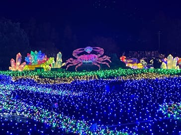 伊豆ぐらんぱる公園に投稿された画像（2023/1/2）