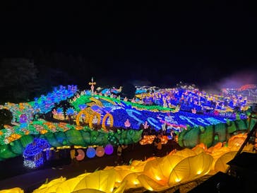 伊豆ぐらんぱる公園に投稿された画像（2023/1/2）