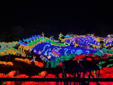 伊豆ぐらんぱる公園に投稿された画像（2023/1/2）