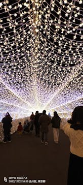 東京メガイルミに投稿された画像（2023/1/2）