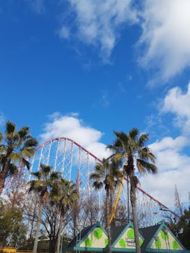 ナガシマスパーランドに投稿された画像（2023/1/2）