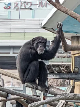 天王寺動物園に投稿された画像（2023/1/2）