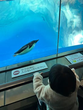 名古屋港水族館に投稿された画像（2023/1/2）