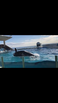 鴨川シーワールドに投稿された画像（2023/1/2）