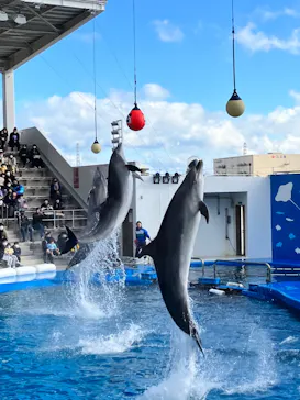 仙台うみの杜水族館に投稿された画像（2023/1/2）