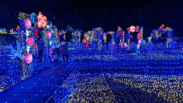 伊豆ぐらんぱる公園に投稿された画像（2023/1/2）