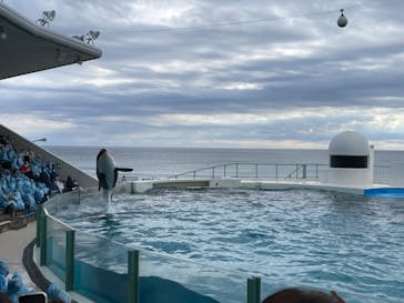 鴨川シーワールドに投稿された画像（2023/1/2）