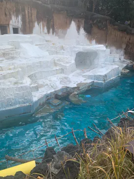 天王寺動物園に投稿された画像（2023/1/2）