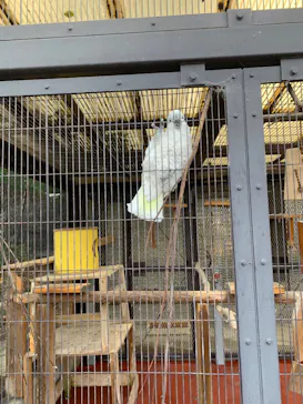 天王寺動物園に投稿された画像（2023/1/2）