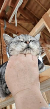 長崎バイオパークに投稿された画像（2023/1/2）