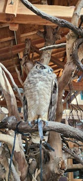 長崎バイオパークに投稿された画像（2023/1/2）