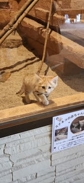 長崎バイオパークに投稿された画像（2023/1/2）