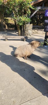 長崎バイオパークに投稿された画像（2023/1/2）